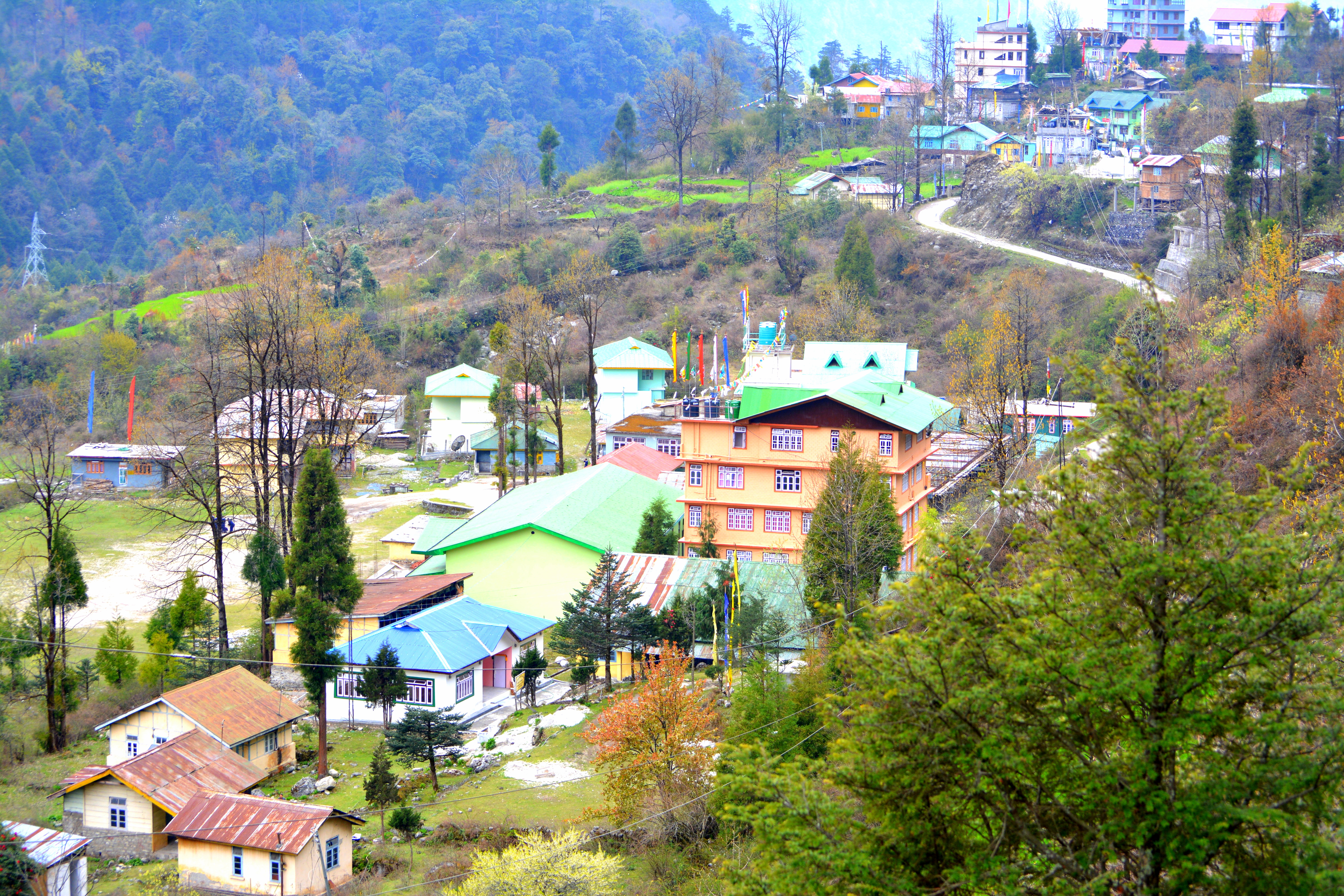 A trek to the Dzumsa governed Lachung!