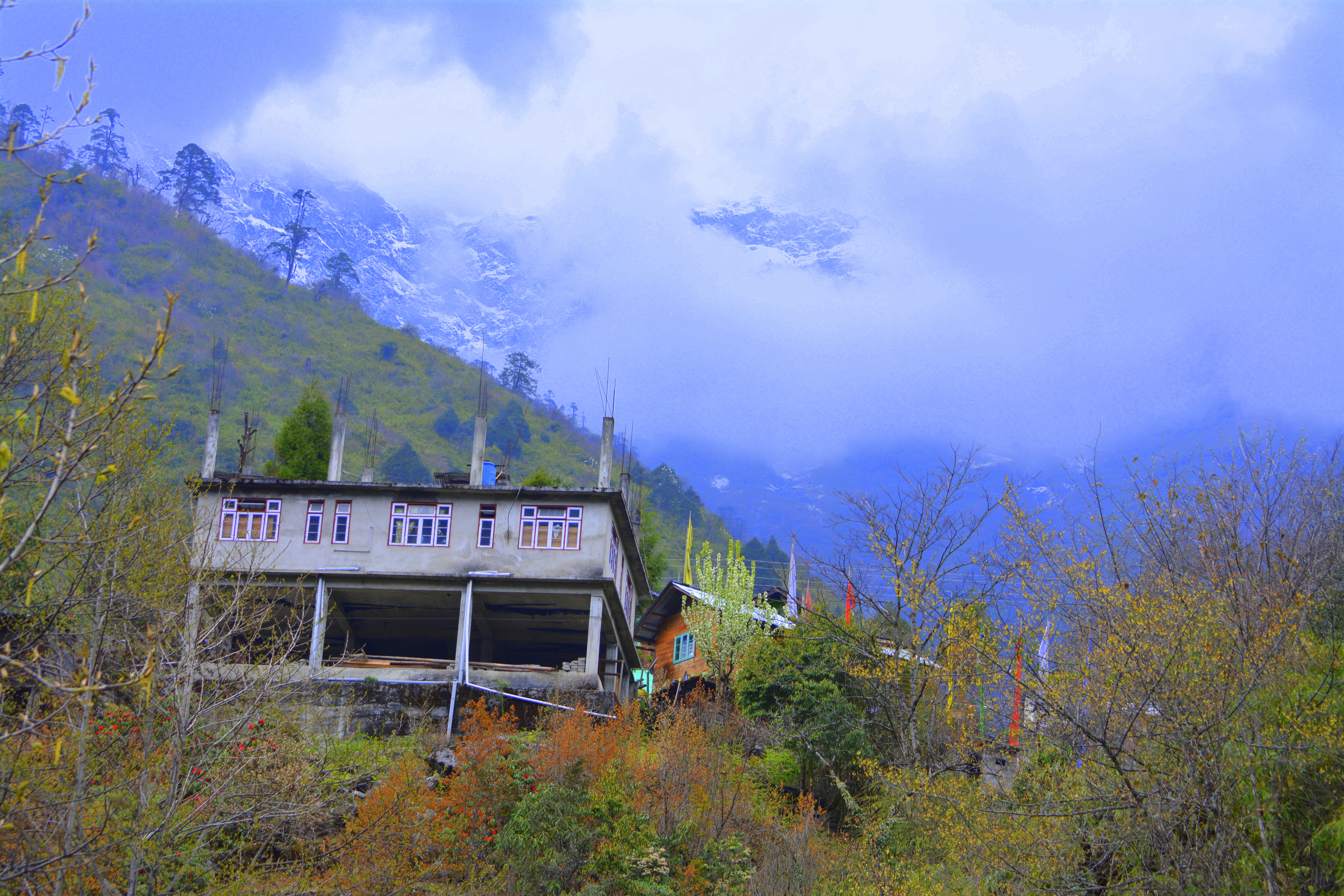 A trek to the Dzumsa governed Lachung!