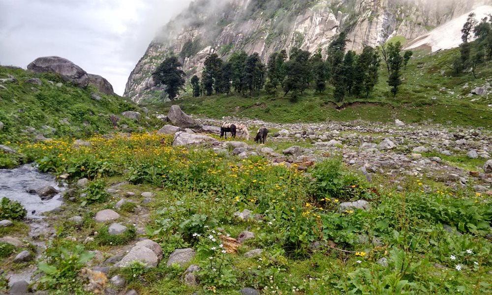 In a perfect state of Utopia – HAMPTA PASS