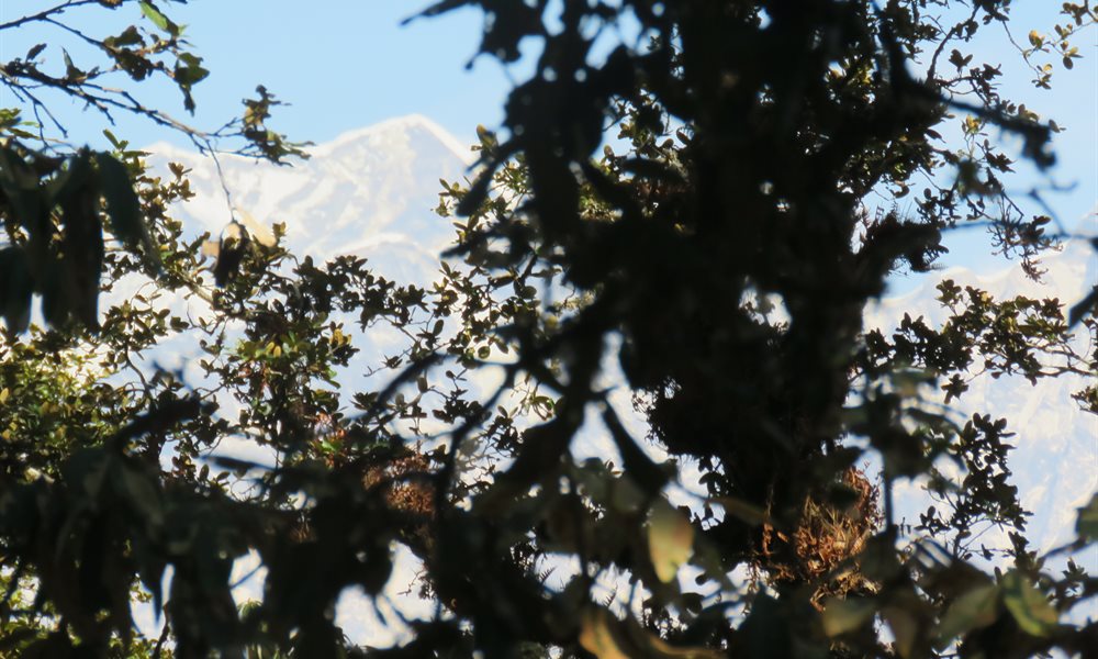 Peaks Visible from Brahmatal Lake Trek