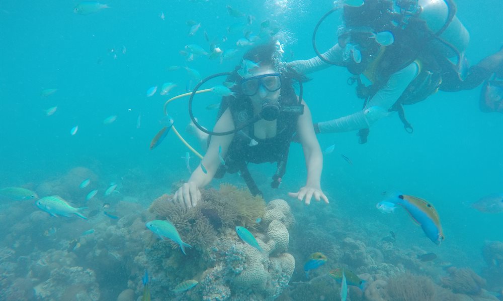 The diving experience in Bangaram