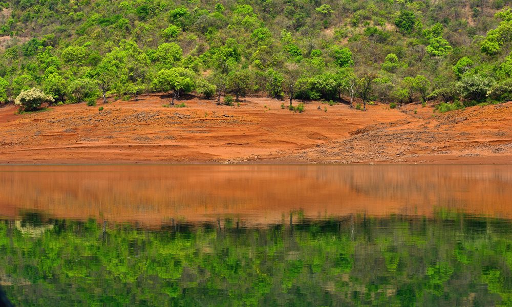 The Mighty Vasota Trek