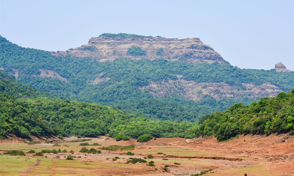 The Mighty Vasota Trek