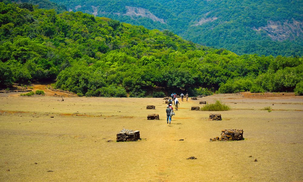 The Mighty Vasota Trek