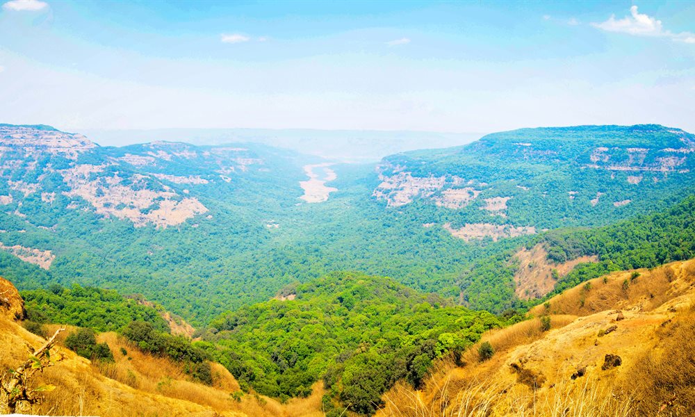 The Mighty Vasota Trek