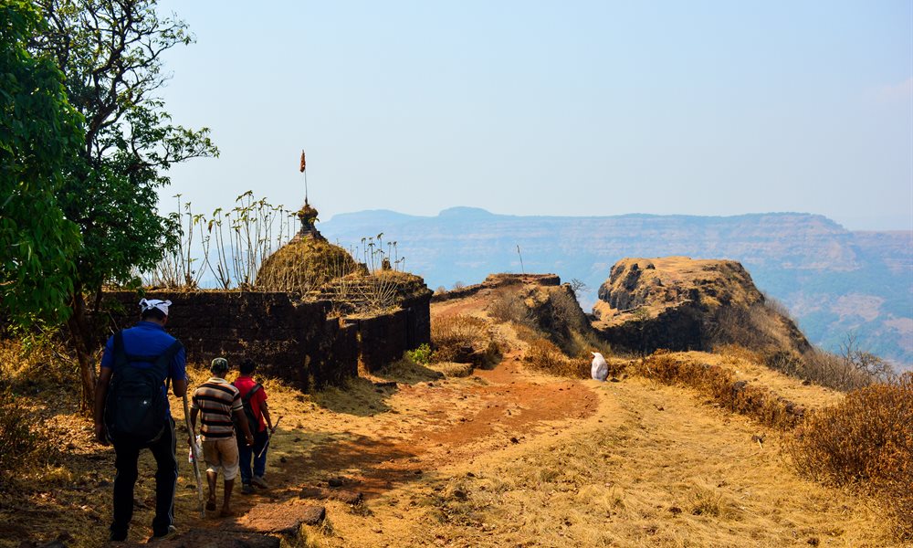 The Mighty Vasota Trek