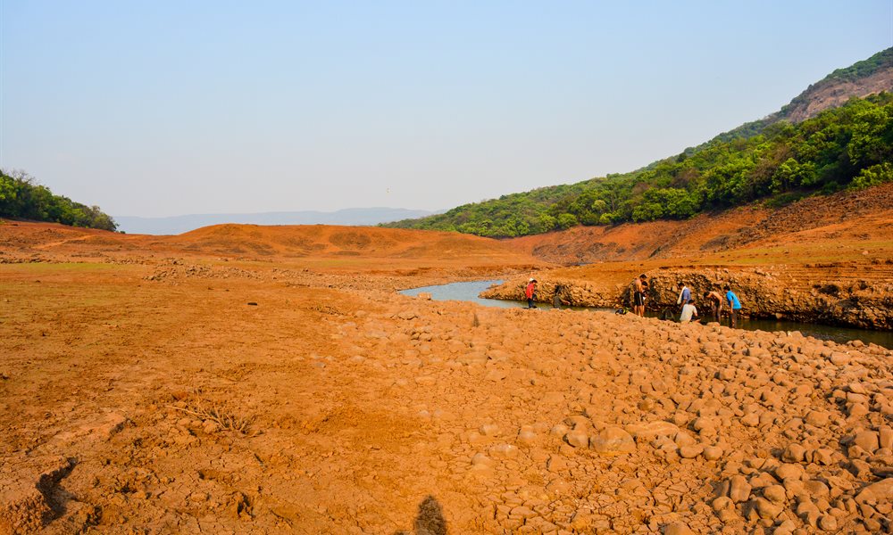 The Mighty Vasota Trek