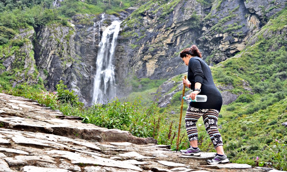It’s Journey, not the destination (Hemkund sahib and the valley of flowers)