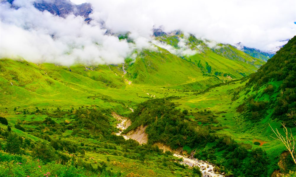 It’s Journey, not the destination (Hemkund sahib and the valley of flowers)