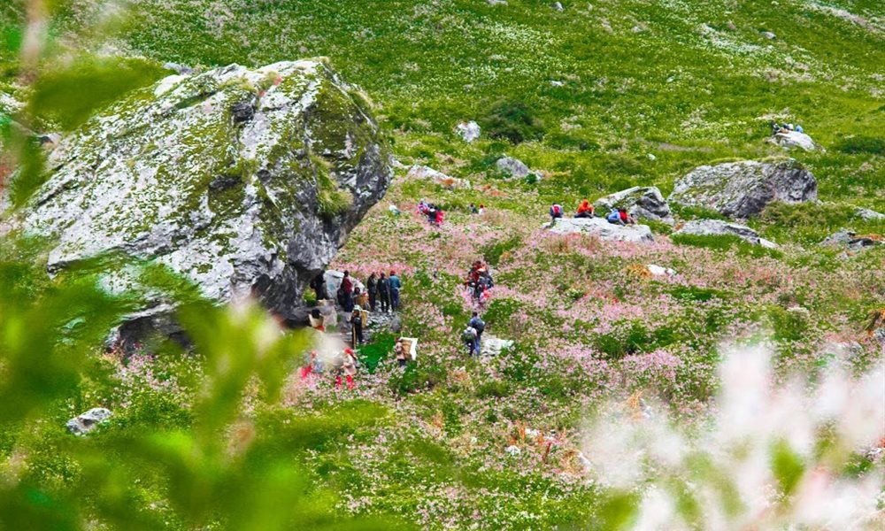 It’s Journey, not the destination (Hemkund sahib and the valley of flowers)