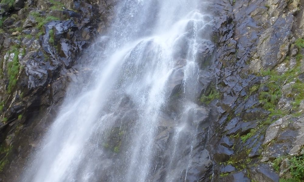 It’s Journey, not the destination (Hemkund sahib and the valley of flowers)