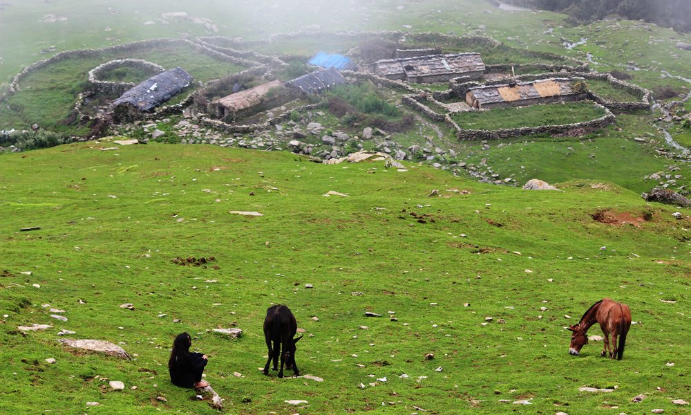 It’s Journey, not the destination (Hemkund sahib and the valley of flowers)