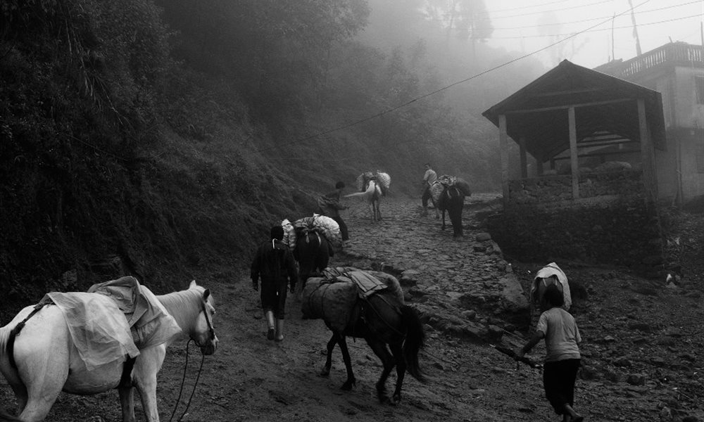 Landscape in the mist