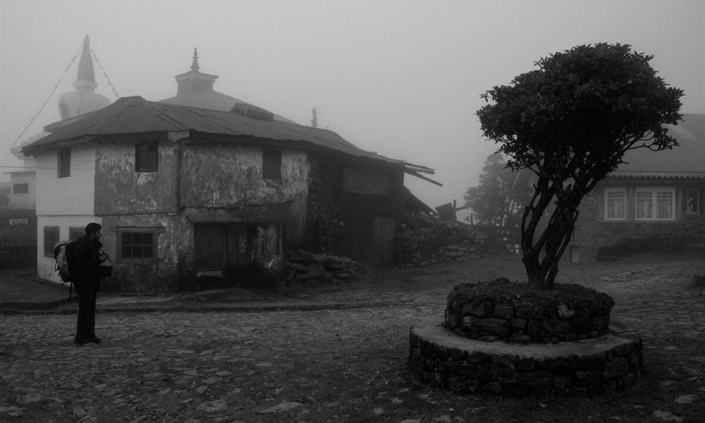 Landscape in the mist