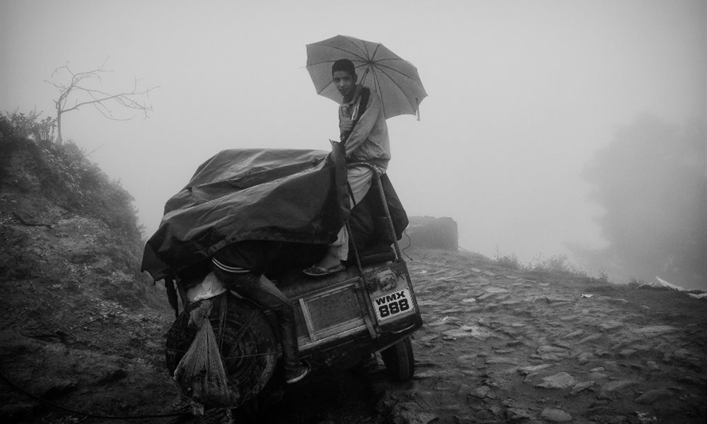 Landscape in the mist