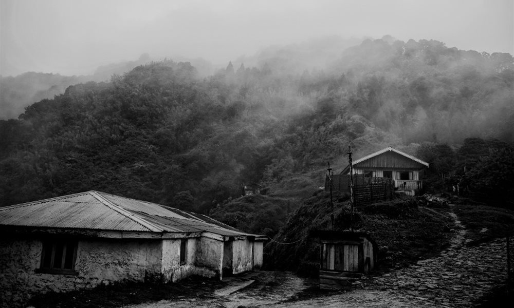 Landscape in the mist
