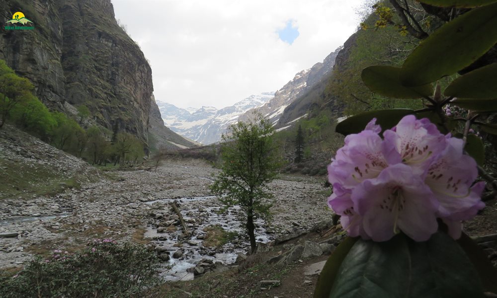 Can You Find The Ten Hidden Gems Of Rupin Pass Trek?