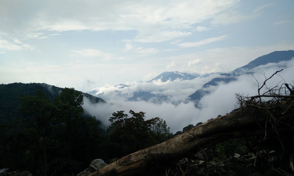 Into the arms of the singing peak 