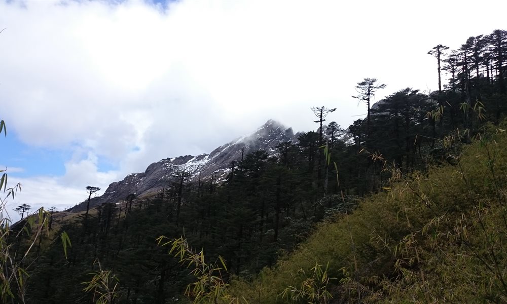 Into the arms of the singing peak 