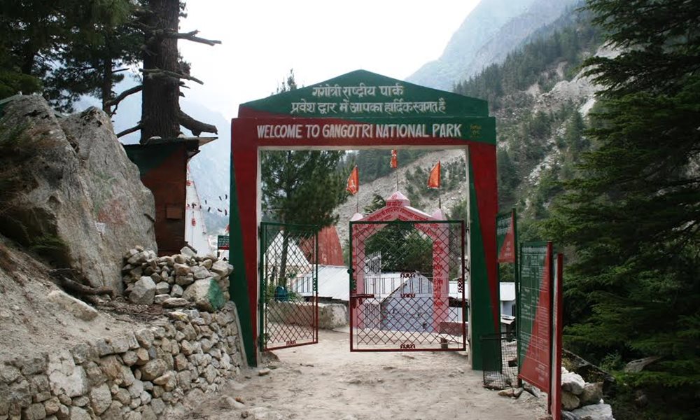 A trek to Kalindi pass