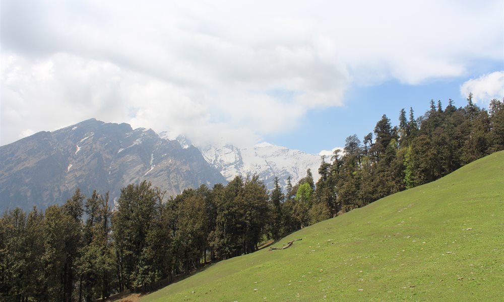Bhrigu Lake: A Worthy Trek for Beginners and its Alternatives