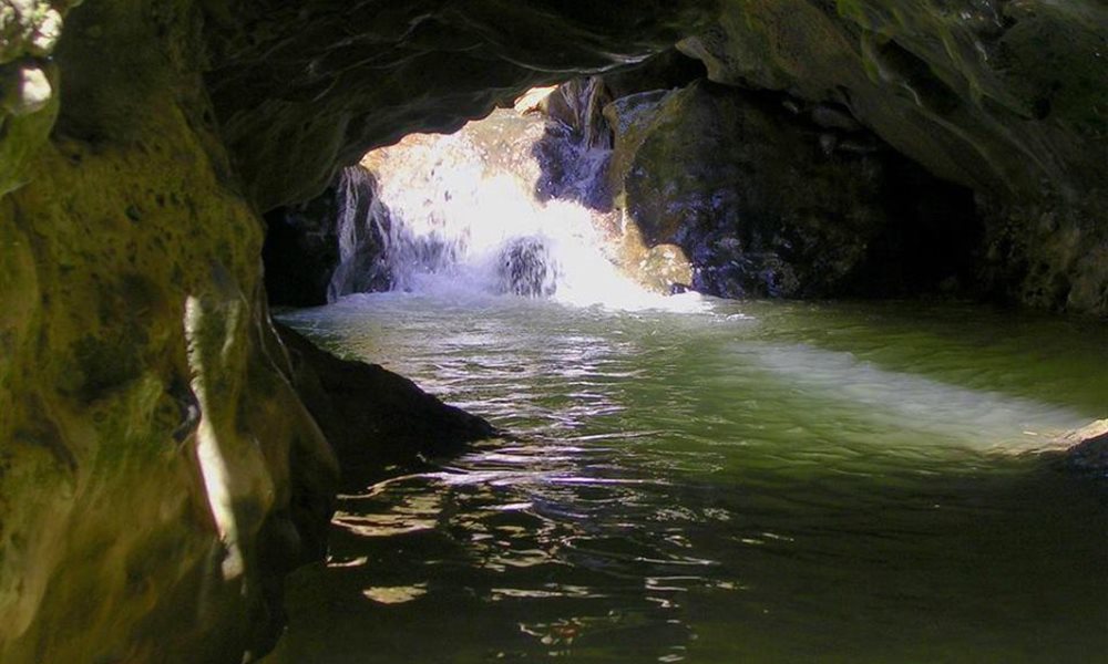 Tourist Attractions In Dehradun and Mussoorie That You Must Visit