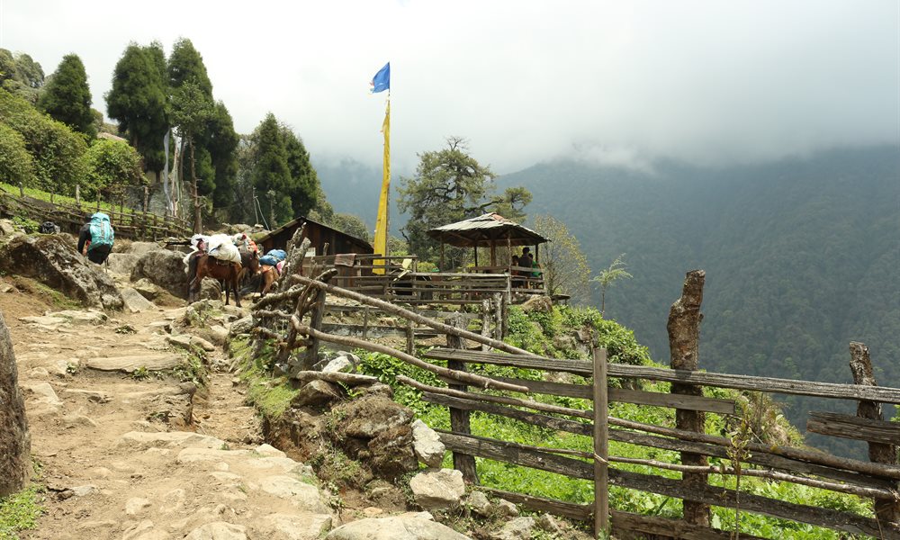 Goecha-La: An epic journey to the footsteps of Mt. Kanchenjunga