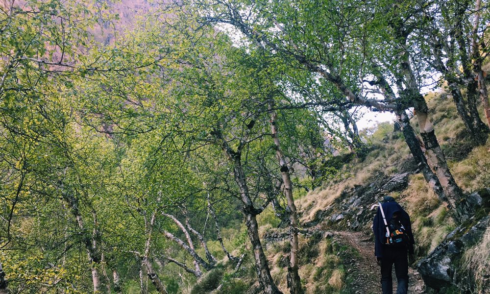 The Kedar Tal Trek Challenge: Are You Brave Enough?