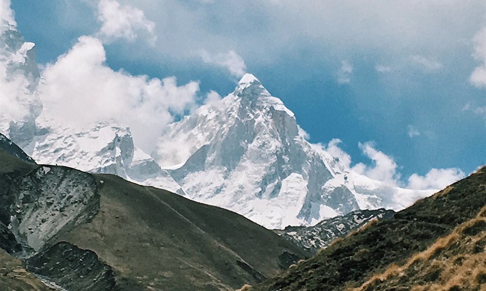 High On ROI: How Kedar Tal Pays You Back