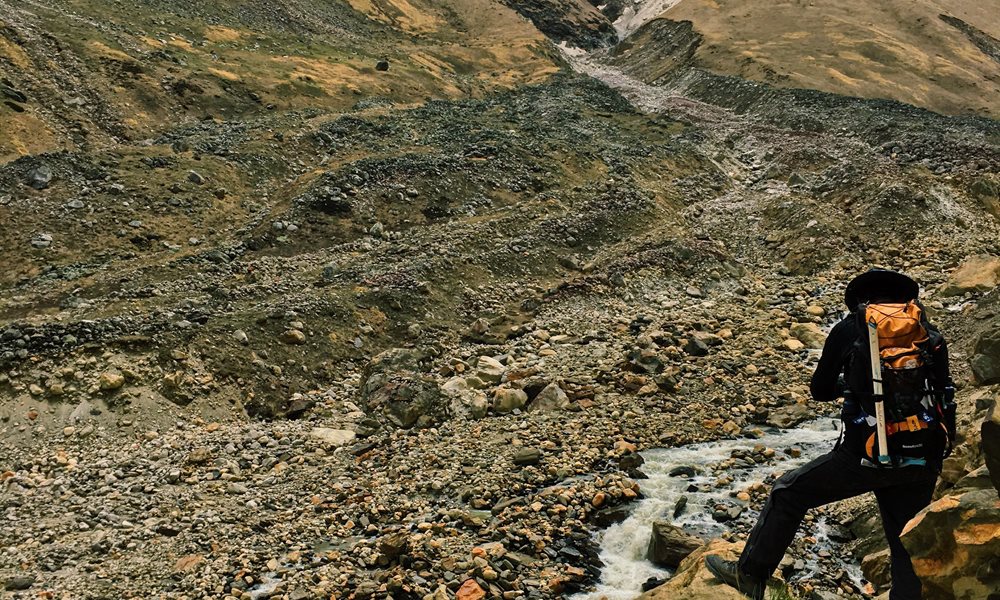 High On ROI: How Kedar Tal Pays You Back