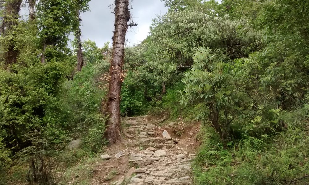 Push Ups at Roopkund