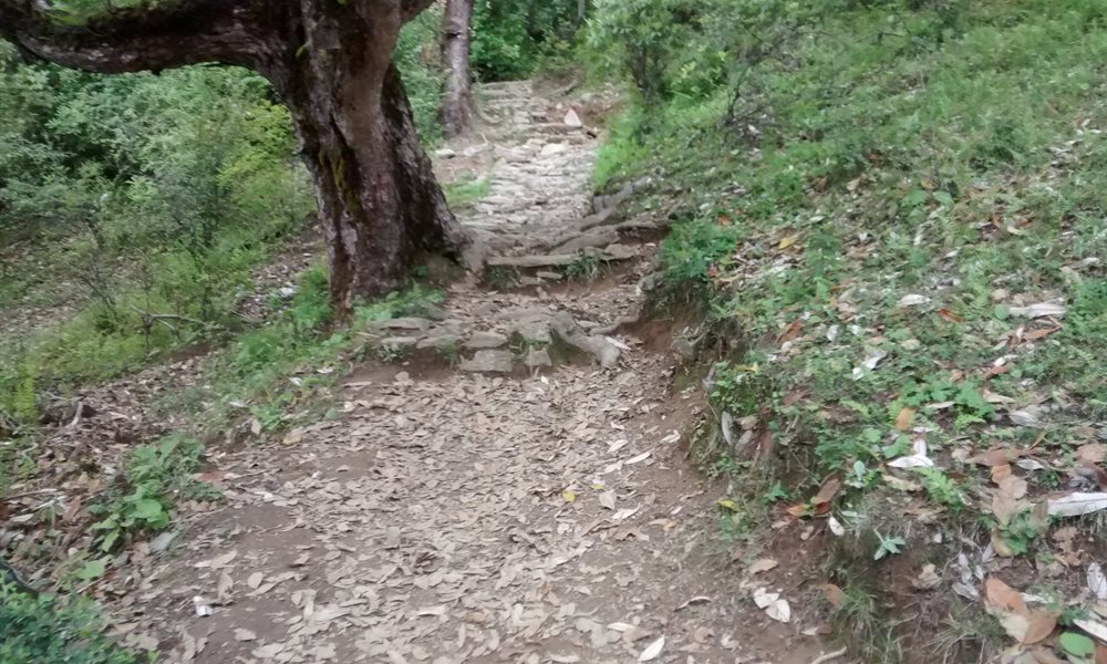 Push Ups at Roopkund