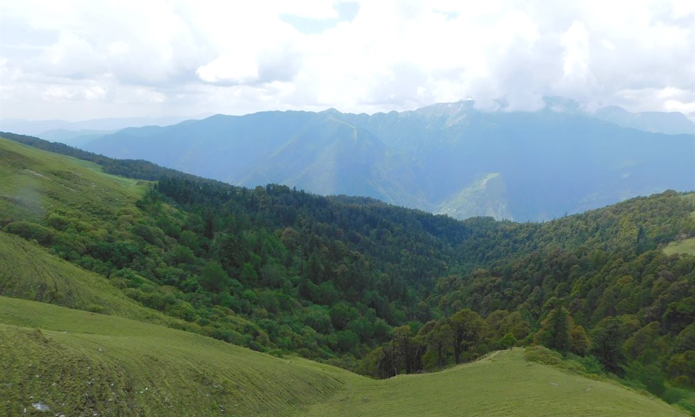 Push Ups at Roopkund