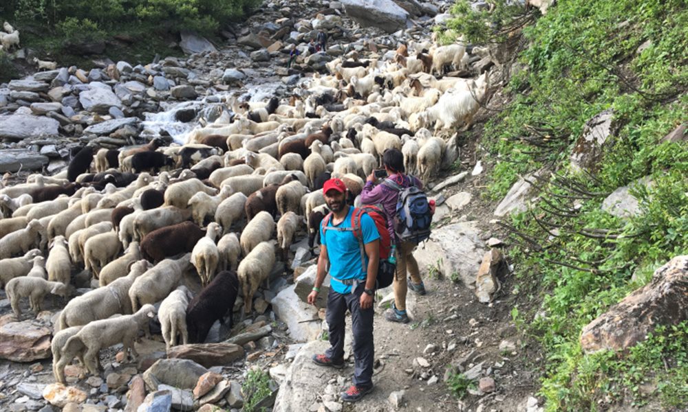 Beas Kund Trek  - June 2017