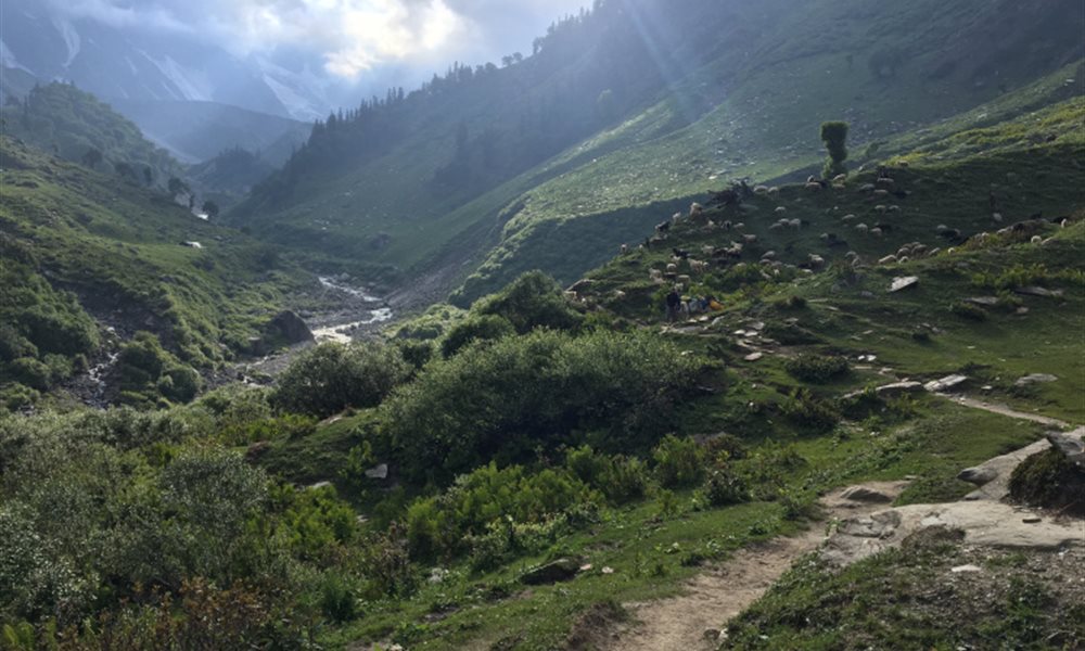 Beas Kund Trek  - June 2017
