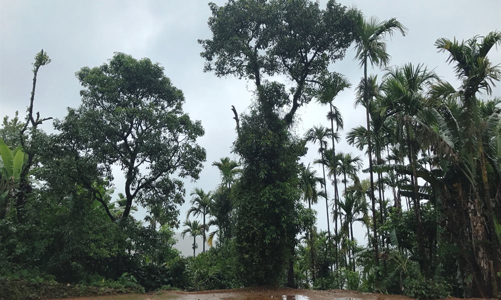 My experience of Western Ghat through Kudremukh trek