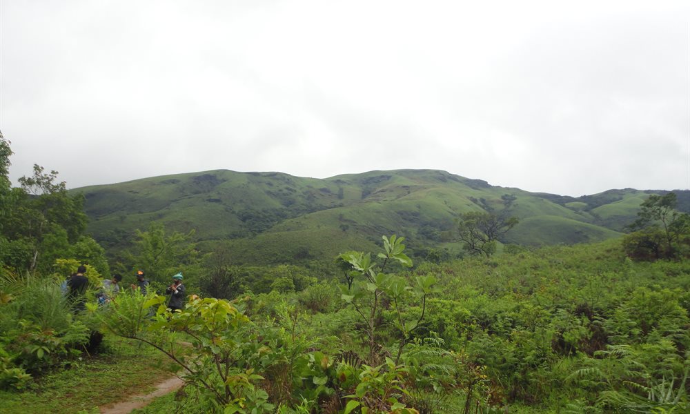 My experience of Western Ghat through Kudremukh trek