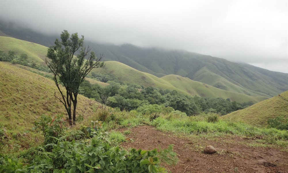 My experience of Western Ghat through Kudremukh trek