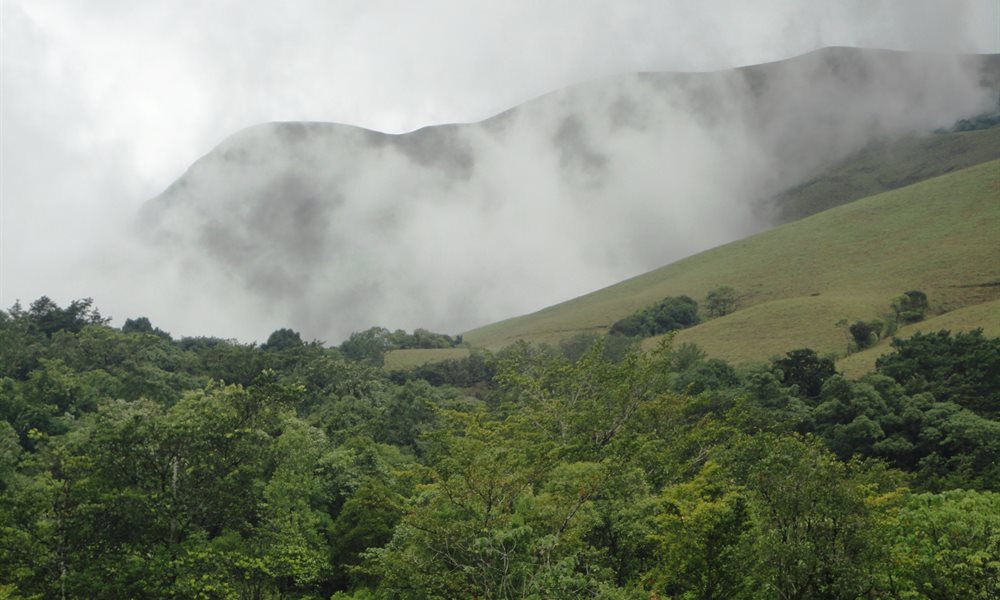 My experience of Western Ghat through Kudremukh trek