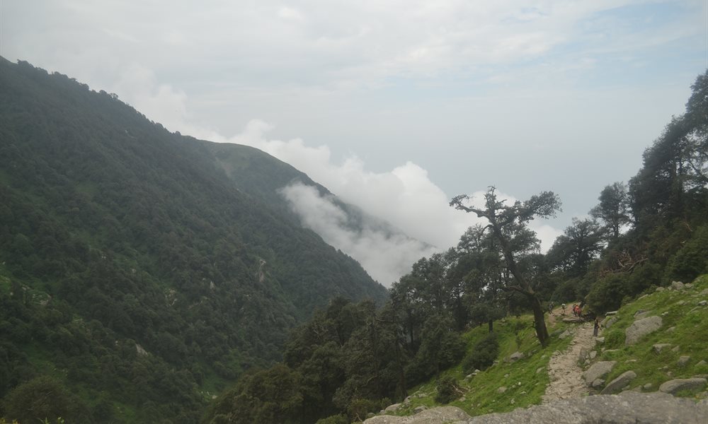 The ultimate guide to Indrahar Pass Trek in monsoon