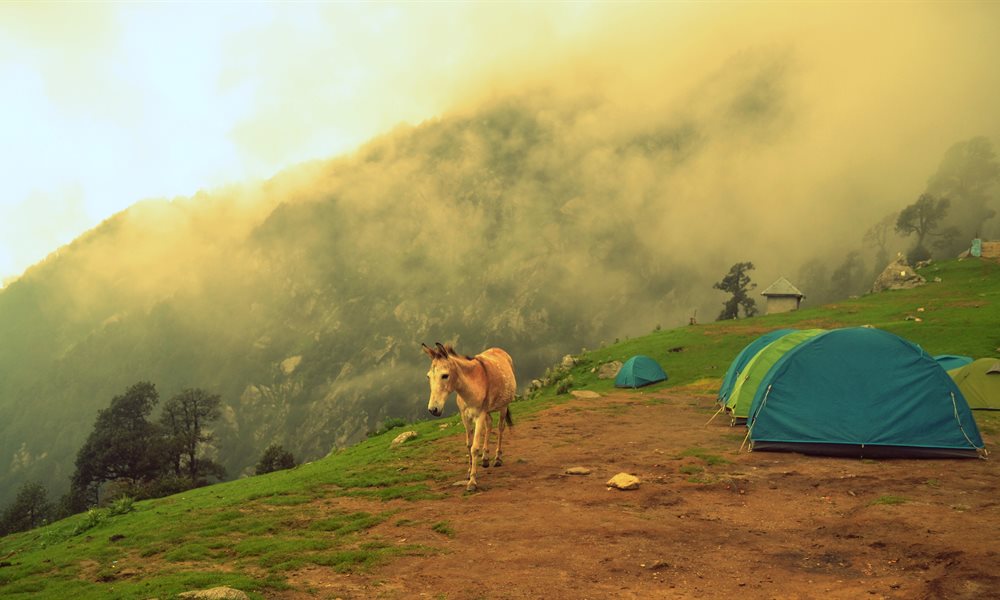 The ultimate guide to Indrahar Pass Trek in monsoon