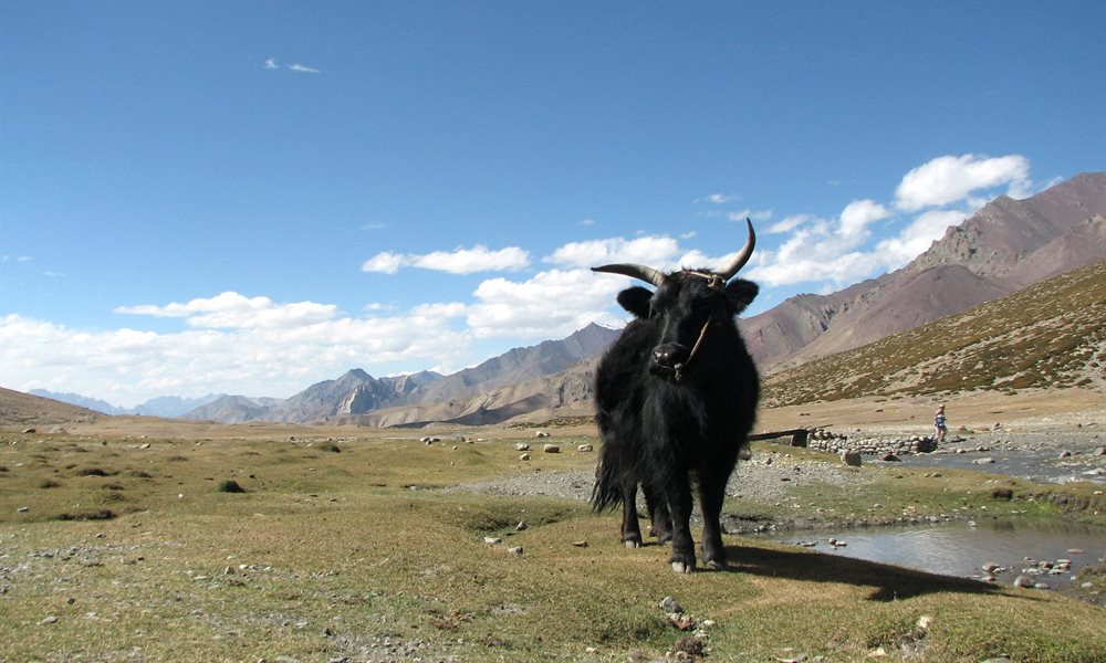 13 Reasons Why I cannot Wait to Go on Markha Valley Trek