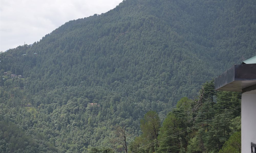 First Trek  (Bhagsu and Triund, Mcleodganj)