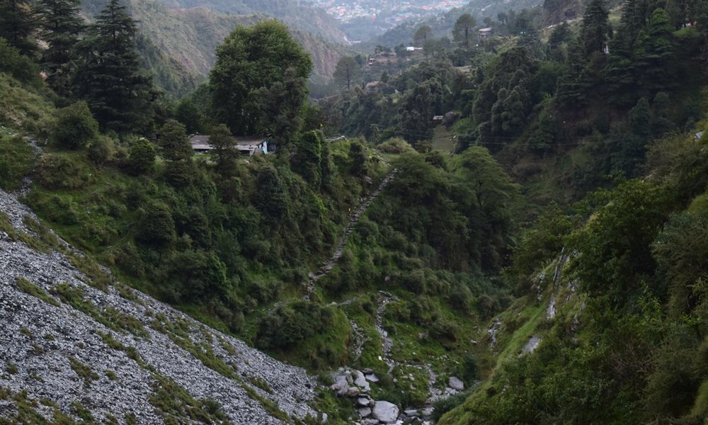 First Trek  (Bhagsu and Triund, Mcleodganj)