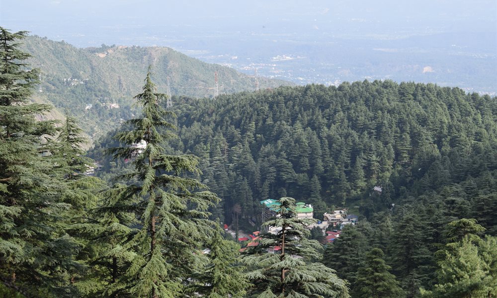 First Trek  (Bhagsu and Triund, Mcleodganj)