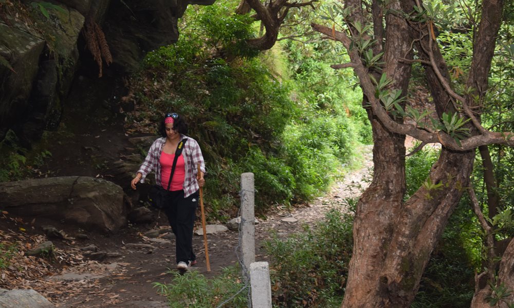First Trek  (Bhagsu and Triund, Mcleodganj)
