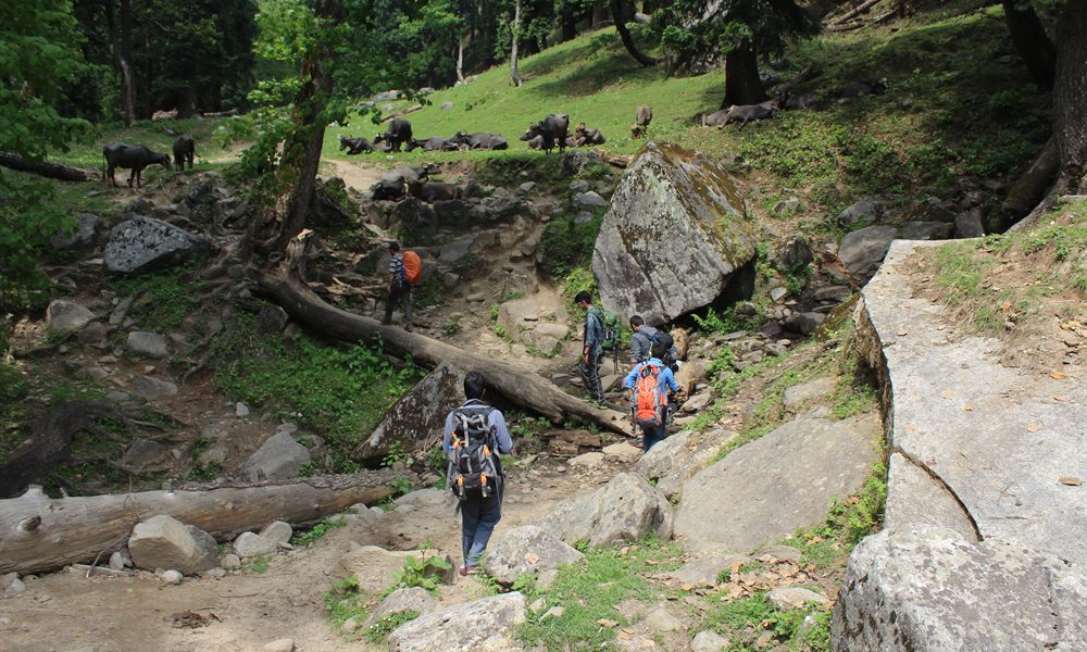 Hampta Pass trek: Paradise on Earth