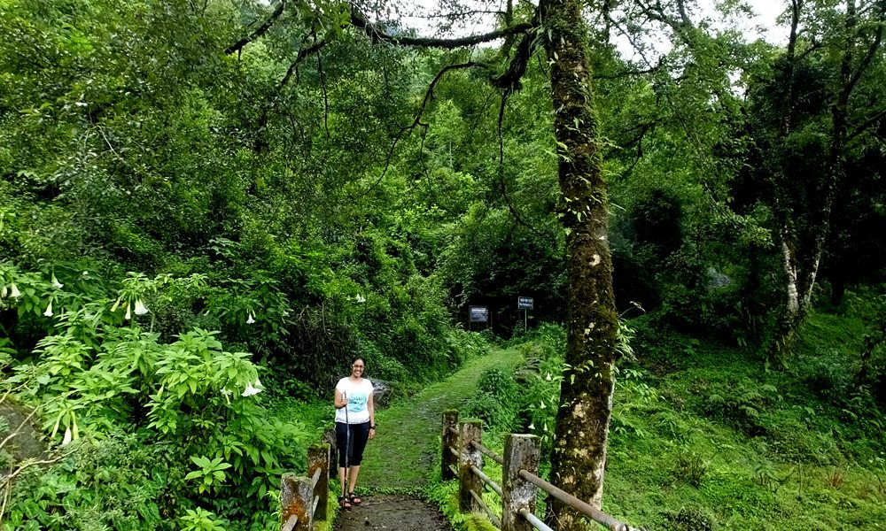 Lost & Found: Trek to Dubdi Monastery, West Sikkim