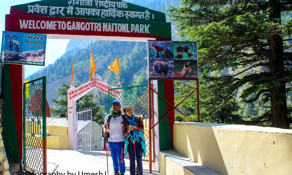 A Breath-Taking Journey to Gangotri - Gomukh - Tapovan