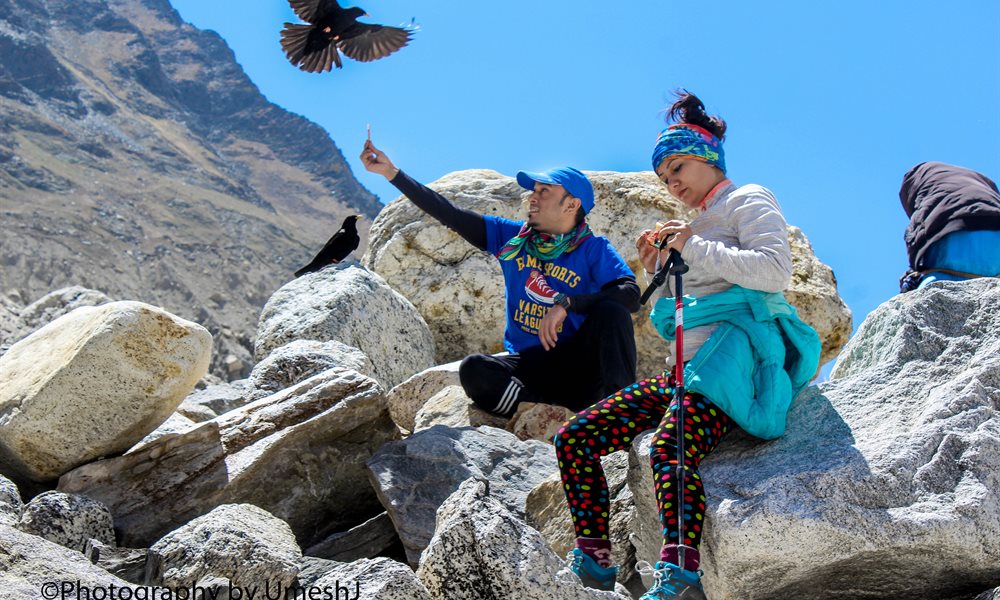 A Breath-Taking Journey to Gangotri - Gomukh - Tapovan